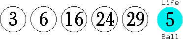 03 06 16 24 29 (05)