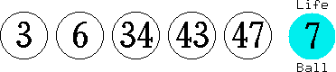 03 06 34 43 47 (07)