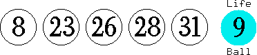 08 23 26 28 31 (09)