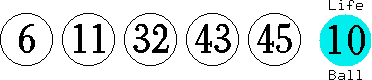 06 11 32 43 45 (10)