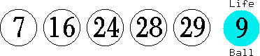 07 16 24 28 29 (09)