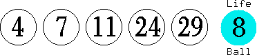 04 07 11 24 29 (08)