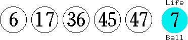 06 17 36 45 47 (07)