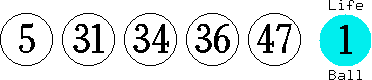 05 31 34 36 47 (01)