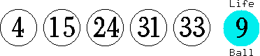 04 15 24 31 33 (09)