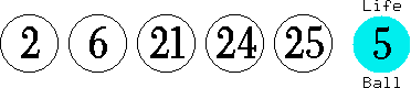 02 06 21 24 25 (05)