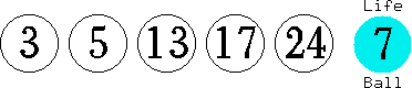 03 05 13 17 24 (07)