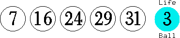 07 16 24 29 31 (03)