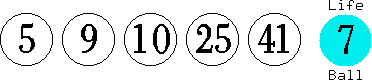05 09 10 25 41 (07)