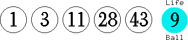 01 03 11 28 43 (09)