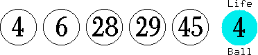 04 06 28 29 45 (04)