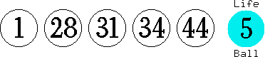 01 28 31 34 44 (05)